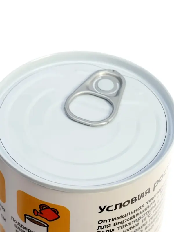 Набор для опытов ЭВРИКИ &laquo;Мой мини-сад&raquo;, подсолнух