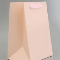 Пакет подарочный вертикальный, с окном, 30&times;20&times;16 см, розовый