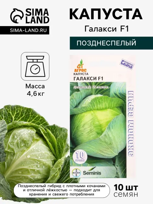 Семена Капуста &laquo;Галакси&raquo;, F1, 10 шт., &laquo;Агросс&raquo;