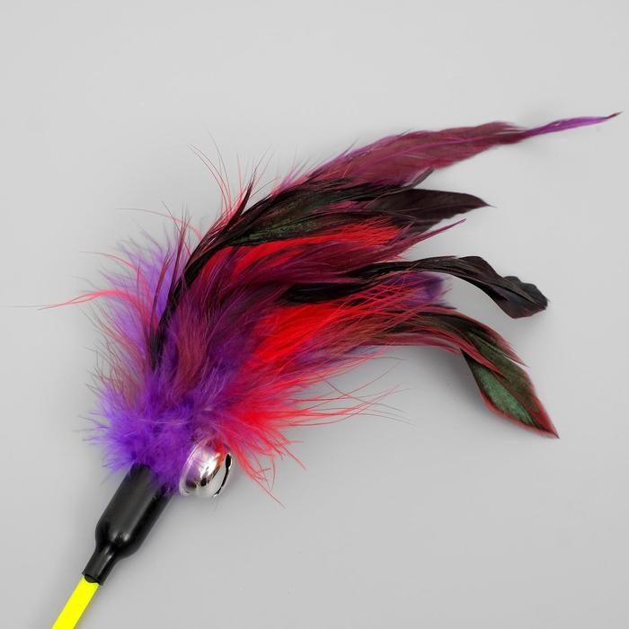 Дразнилка  Дразнилка "Фазан" с бубенчиком, 50 см, микс цветов