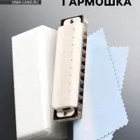 Губная гармошка Music Life T008L C диатоническая, 10 отверстий, с футляром