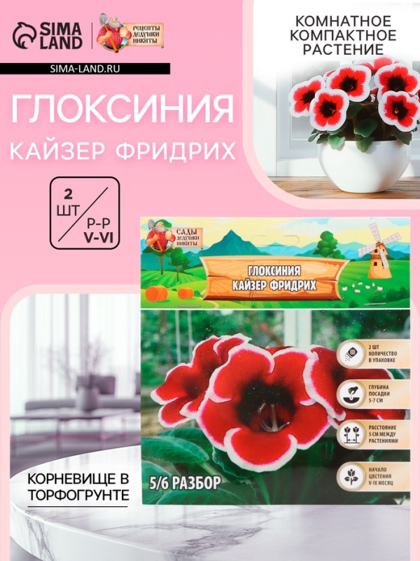 Глоксиния «Кайзер Фридрих», многолетник, комнатный, луковица в пакете с перфорацией, р-р 5/6, 2 шт.