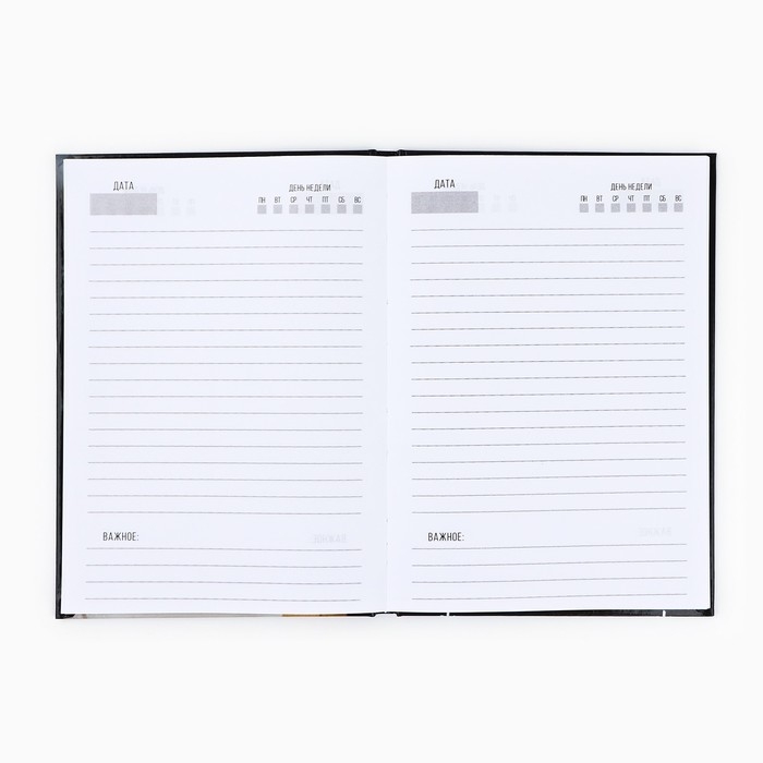 Новый год. Ежедневник А5, 80 л, твердая обложка «Не кисни, под елочкой зависни»