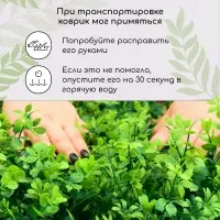 Декоративная панель, 60&times;40 см, &laquo;8-ми листник&raquo;, Greengo