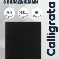 Папка с 80 вкладышами А4, 700 мкм, Calligrata, текстура &laquo;песок&raquo;, чёрная