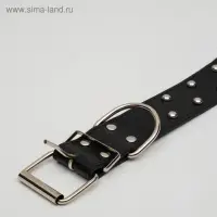 Ошейник клепаный в 2 ряда, 63,5 х 3,8 см, черный