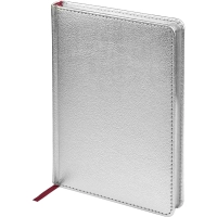 Ежедневник недатированный Sidney Nebraska, А5, 136л, серебро 3-128/10
