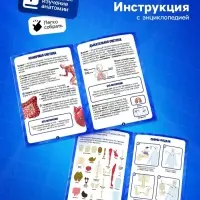 Набор для опытов по анатомии &laquo;Строение тела&raquo;, светится в темноте, с мягкими органами