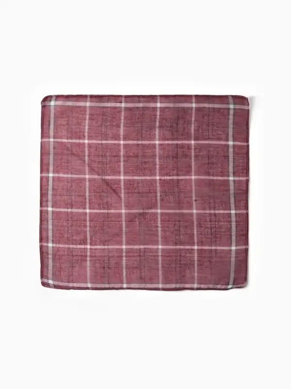 Платки носовые мужские Экономь и Я  Платки носовые мужские Экономь и Я "Клетка" 38*38 см, (набор 10 шт), рис. МИКС,100% пэ