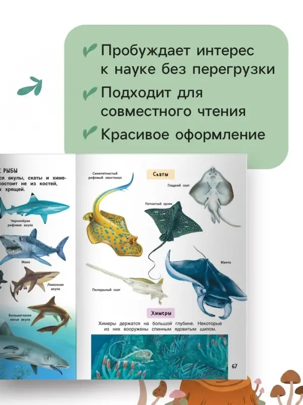 Лучшая энциклопедия для детей, 128 стр.
