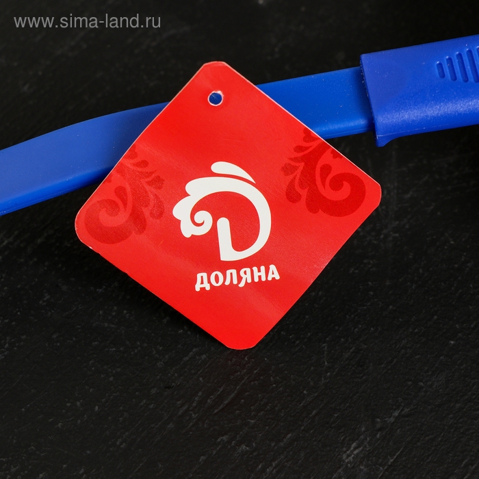 Половник Доляна «Радужный», 31 см, цвет МИКС Половник Доляна «Радужный», 31 см, цвет МИКС