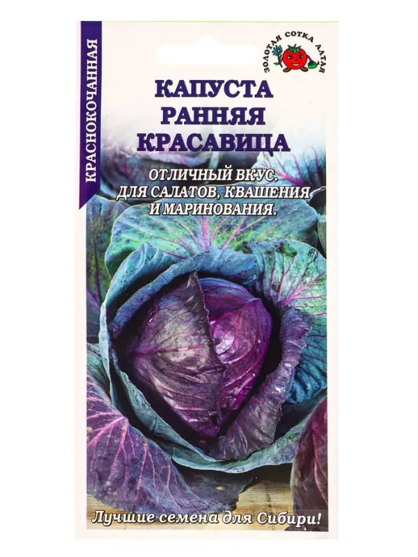 Семена Капуста краснокочанная &laquo;Ранняя красавица&raquo;, 0.3 г, раннеспелая, &laquo;Золотая Сотка Алтая&raquo;