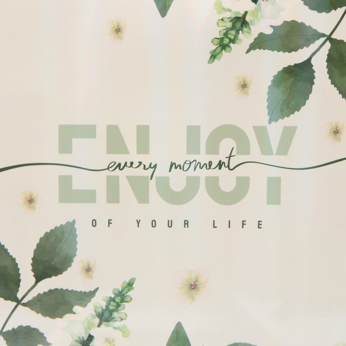 Пакет подарочный ламинированный, упаковка, «Наслаждайся моментом», радужная голография, MS 18 х 23 х 10 см Пакет подарочный ламинированный, упаковка, «Наслаждайся моментом», радужная голография, MS 18 х 23 х 10 см