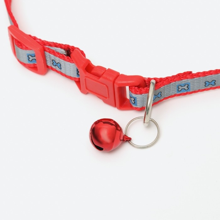 Ошейник Ошейник "Кость" светоотражающий, 31 х 1 см, красный