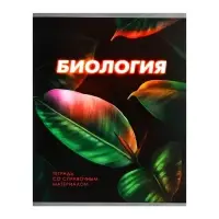 Тетрадь предметная 48 листов в клетку Calligrata «3D. Биология», серые листы