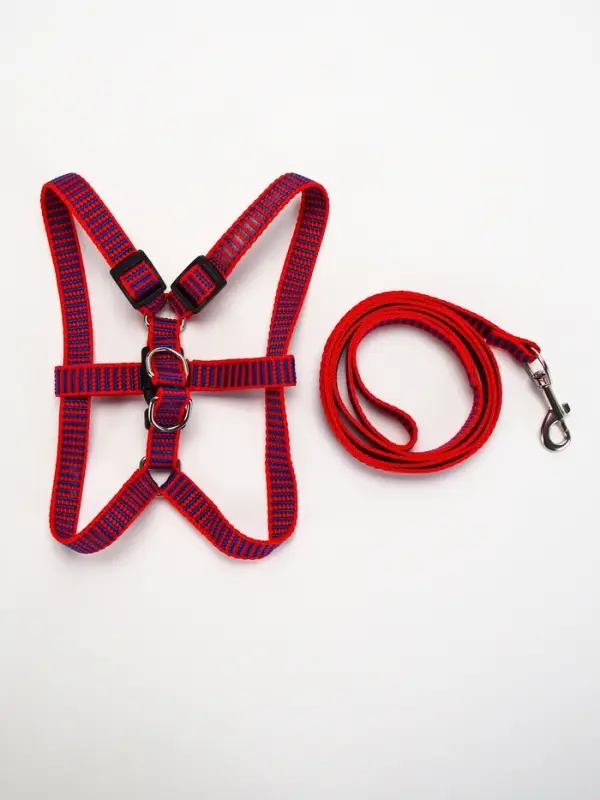 Комплект амуниции рельефный, поводок 120&times;1.5 см, ОГ 36-49 см, красно-синий