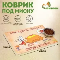 Коврик под миску &laquo;Пижон. Худеть нельзя&raquo;, 43&times;28 см, с нескользящим основанием