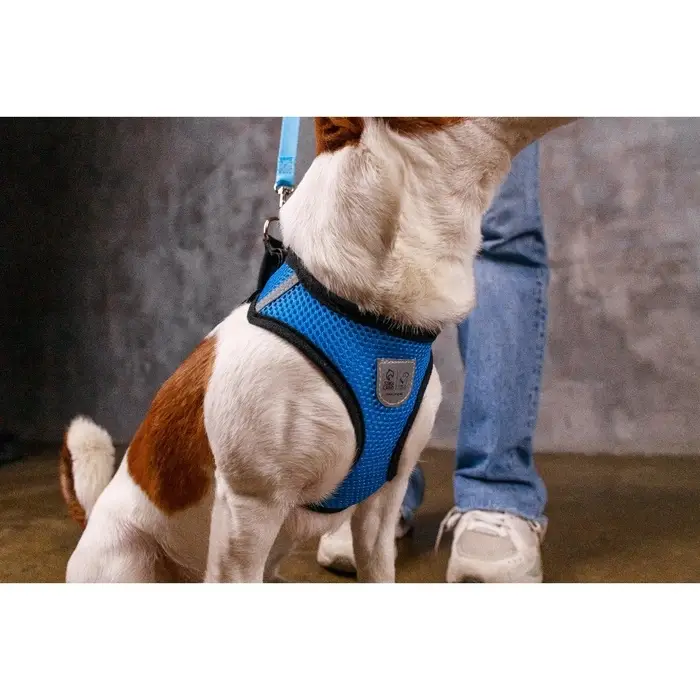 Шлейка дышащая с поводком и светоотражающей нашивкой, M, ОШ 33, ОГ 32-43, синяя Шлейка дышащая с поводком и светоотражающей нашивкой, M, ОШ 33, ОГ 32-43, синяя