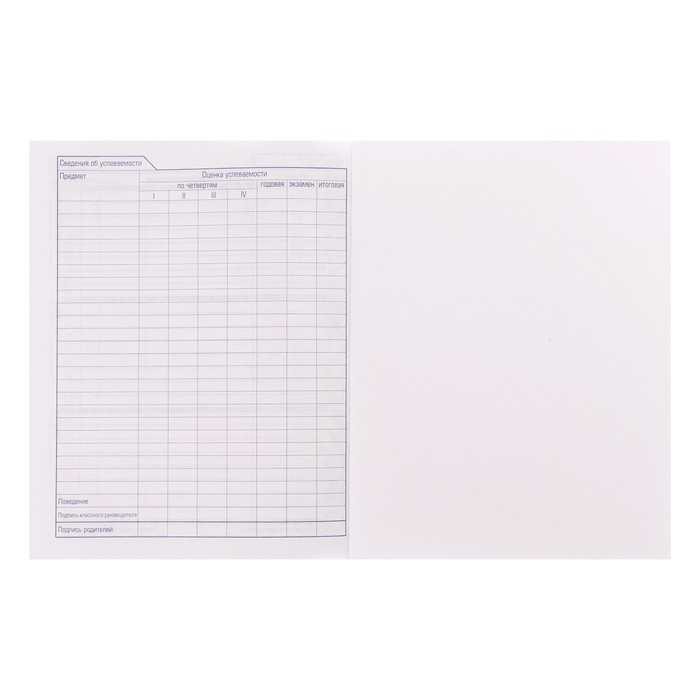 Дневник твердая обложка 1-11 класс 40 листов, девушка с серёжкой, глянцевая ламинация