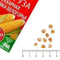 Семена Кукуруза &laquo;Лакомка Белогорья&raquo;, &laquo;Агроуспех Много-Выгодно&raquo; 15 г