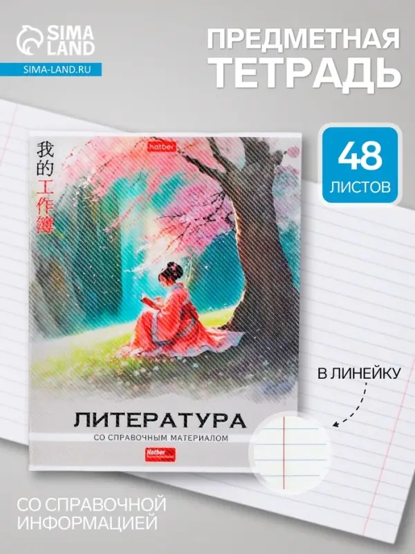 Предметная тетрадь по литературе Hatber &laquo;Искусство Азии&raquo;, 48 листов, в линейку, со справочным материалом, пластиковая обложка с печатью