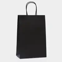 Пакет крафт &laquo;Радуга&raquo;, чёрный, 22&times;13&times;32 см, 80 г/м&sup2;, 1 шт.