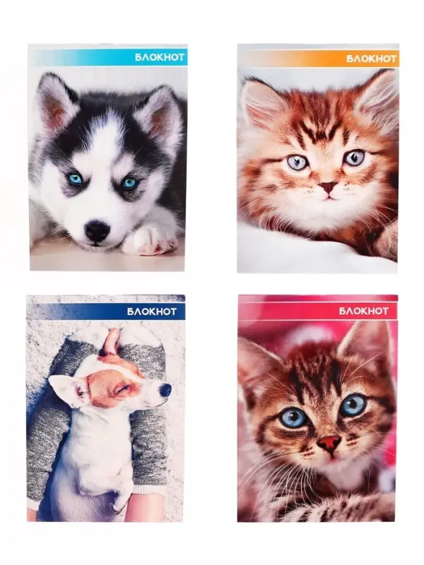 Набор блокнотов А6 40л кл на скобе Котята и щенята, мел карт, 4В 20шт