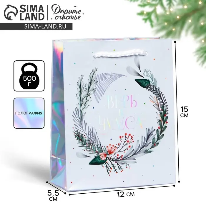 Пакет голографический «Чудеса рядом», 12 х 15 х 5.5 см