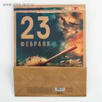 Пакет подарочный крафтовый, упаковка, «С 23 февраля», MS 18 х 23 х 8 см