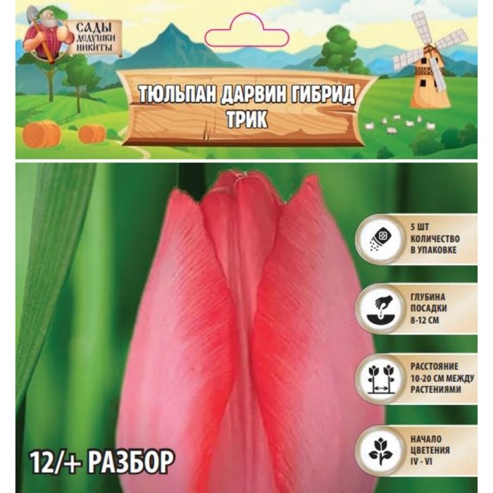Тюльпан Дарвин гибрид Трик, р-р 12+, 5 шт, Осень 2024 Тюльпан Дарвин гибрид Трик, р-р 12+, 5 шт, Осень 2024