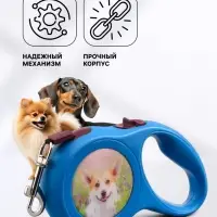 Рулетка &laquo;Милашка&raquo;, 5 м, до 15 кг, с принтом, синяя
