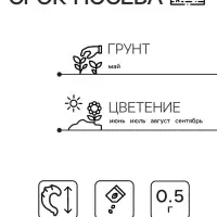 Семена  цветов Календула балконная, смесь окрасок, О, 0,5 г