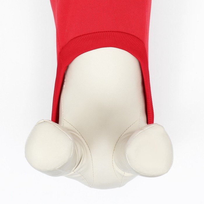 Кофта новогодняя для животных "Подарок", размер L (ДС 30, ОГ 42 см), красный