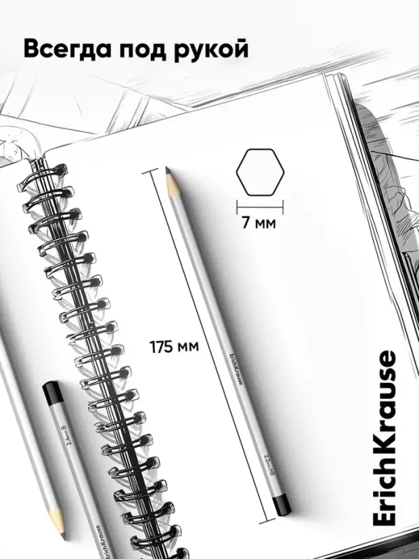 Набор карандашей чернографитных ErichKrause, 12 штук, разной твёрдости, шестигранные, деревянные, серебристый корпус