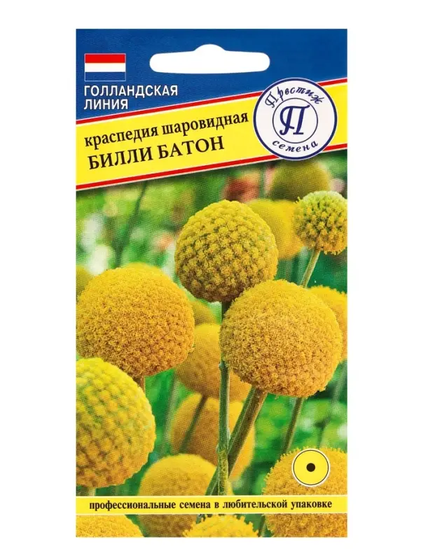 Семена цветов Краспедия шаровидная  Семена цветов Краспедия шаровидная "Билли Батон", 10 шт