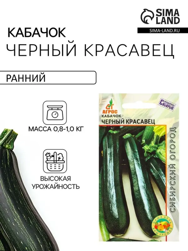 Семена Кабачок &laquo;Чёрный красавец&raquo;, 6 шт., &laquo;Агрос&raquo;