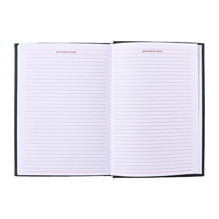 Ежедневник недатированный А5, 160 листов Ежедневник недатированный А5, 160 листов "Вивелла", обложка искусственная кожа, перфорация углов, зелёный