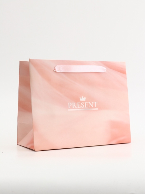 Пакет подарочный горизонтальный "Present", 23 х 18 х 10 см