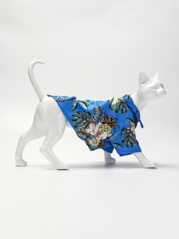 Рубашка для собак  Рубашка для собак "Тропики", L (ДС 28, ОГ 36, ОШ 26 см),голубая