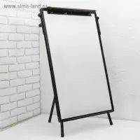 Флипчарт магнитно-маркерный, регулировка высоты, 90&times;60 см