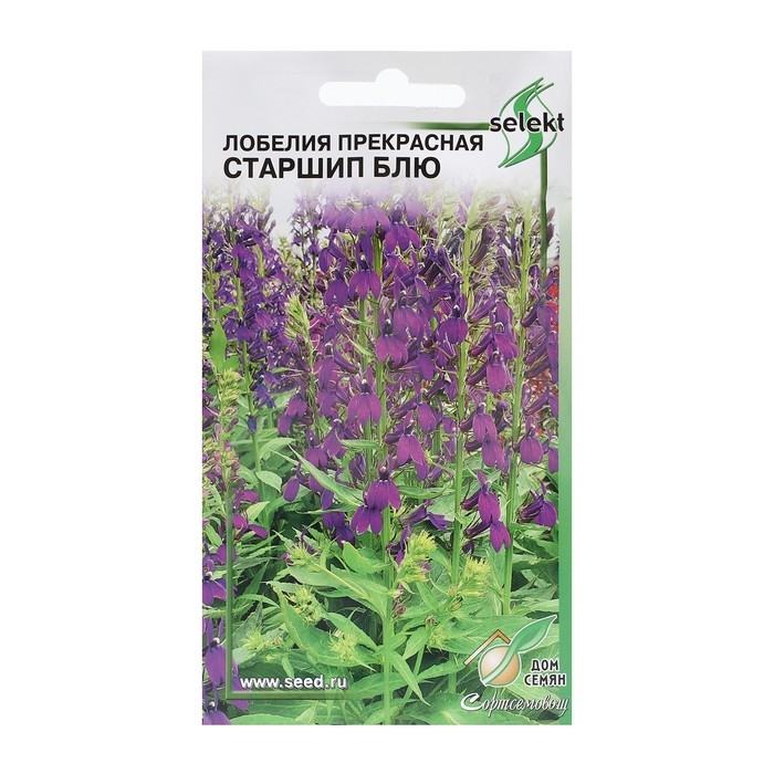 Семена цветов Лобелия прекрасная Семена цветов Лобелия прекрасная "Старшип", 5 шт