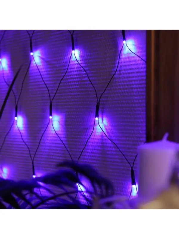 Гирлянда &laquo;Сеть&raquo; 2&times;2 м, IP20, тёмная нить, 224 LED, 8 режимов, 220 В, свечение синее
