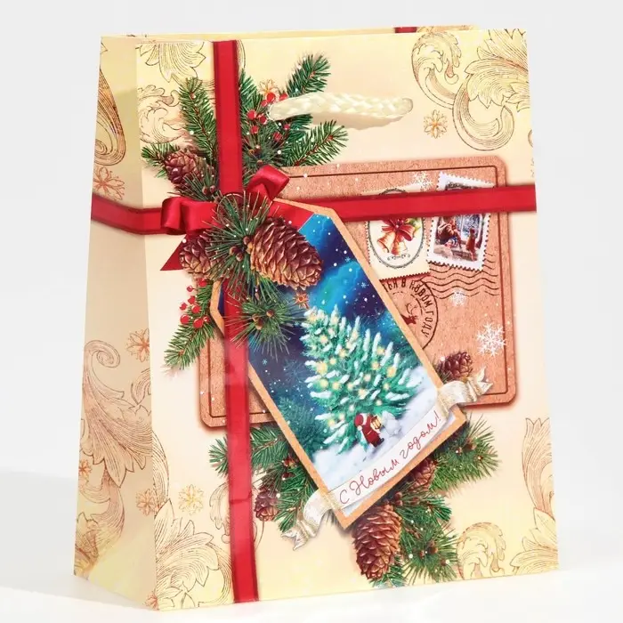 Пакет подарочный новогодний ламинированный «С Новым годом!», S 11.5 х 14.5 х 5.5 см Пакет подарочный новогодний ламинированный «С Новым годом!», S 11.5 х 14.5 х 5.5 см