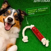 Игрушка для собак &laquo;Сосиска в неге на верёвке&raquo;, 14 см