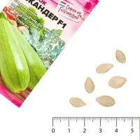 Семена Кабачок &laquo;Искандер&raquo;, F1, 5 шт., &laquo;Семена Алтая&raquo;