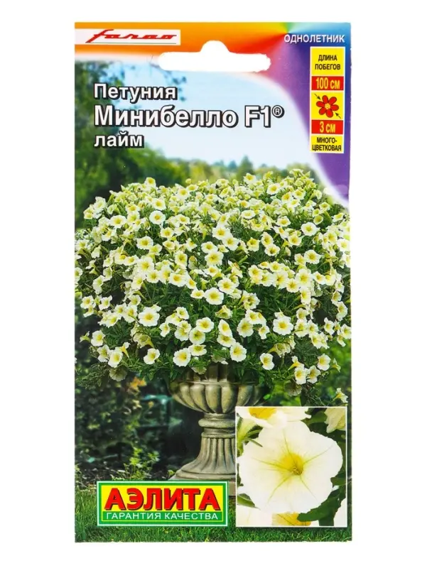 Семена цветов Петуния мини Минибелло F1 лайм многоцветковая (драже) С. Farao, Ц/П,5 шт. Семена цветов Петуния мини Минибелло F1 лайм многоцветковая (драже) С. Farao, Ц/П,5 шт.