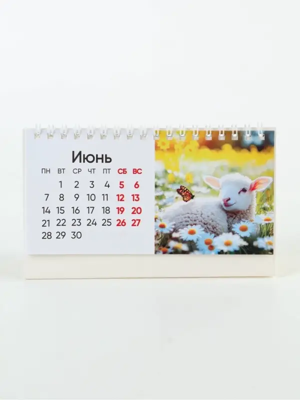 Календарь 2027, настольный домик фотореал 16&times;10.5 см