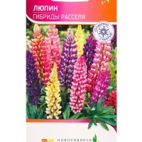 Семена Люпин Гибриды Расселя 0,5 г Семена Люпин Гибриды Расселя 0,5 г
