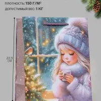 Пакет подарочный &laquo;Зимний уют&raquo;, 18&times;10&times;22.3 см