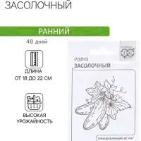 Семена Огурец &laquo;Засолочный&raquo;, 0.5 г
